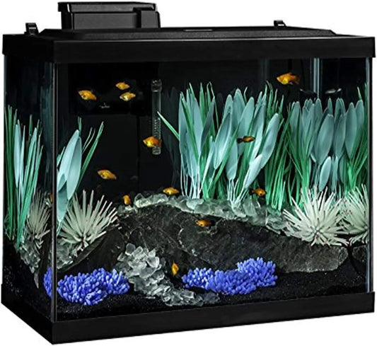20 Gallon Aquarium Kit