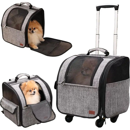 Pet Mobility Stroller for Small Dogs, Cats, and Rabbits