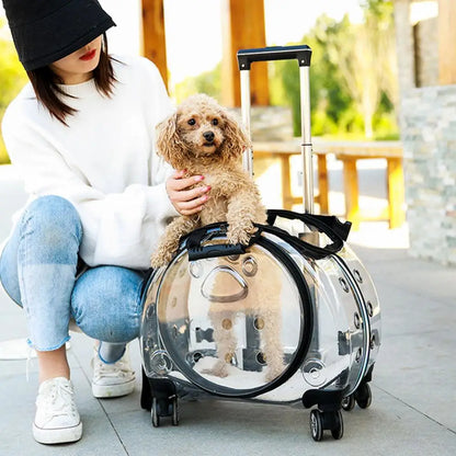 Pet Trolley Case with Ventilation Holes